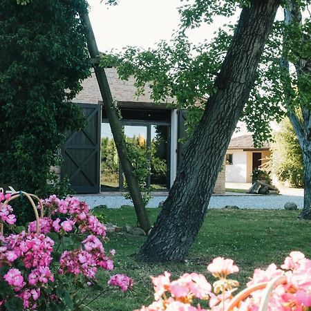 Agriturismo Palazzo Baldini Villa Bagnacavallo Exterior photo