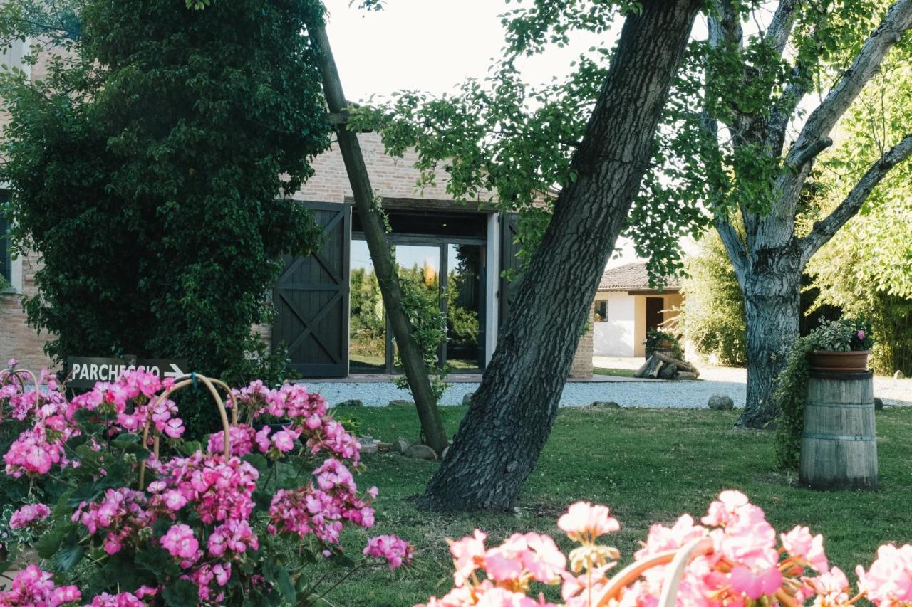 Agriturismo Palazzo Baldini Villa Bagnacavallo Exterior photo